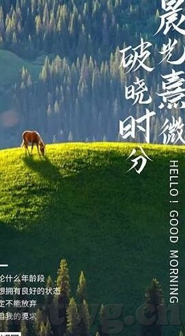 国产91麻豆精品一区-同时，我们也应该教育自己以及身边的人远离那些可能对我们造成伤害的不合法网站和内容。以下是几点关于网络安全的建议