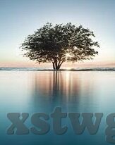 久草在线av中文字幕-探索成人娱乐内容与文化边界的微妙平衡