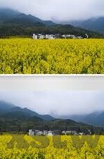 免费成人性视频-成人性视频，网络世界的灰色地带与法律边界