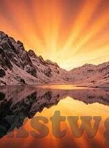 糖心直播app下载-无尽的虚拟世界，探索糖心直播的魅力与影响